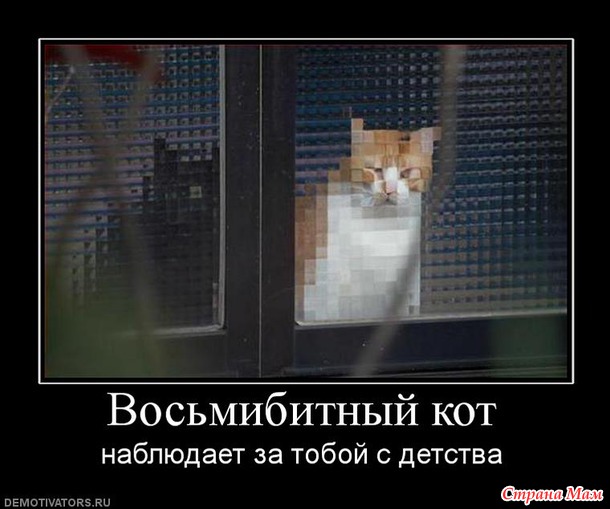 Какая у вас цифра?