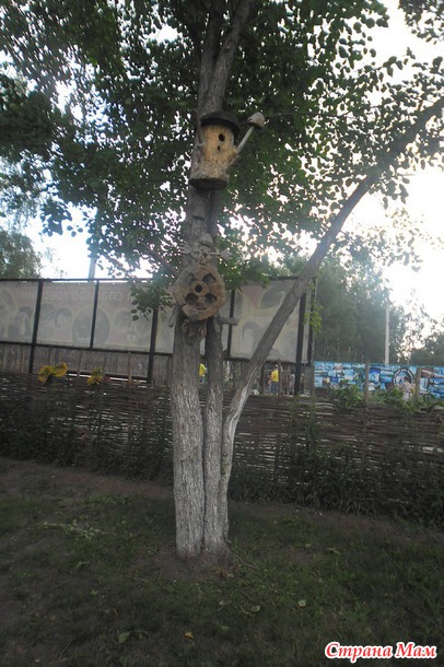 Барнаульский зоопарк