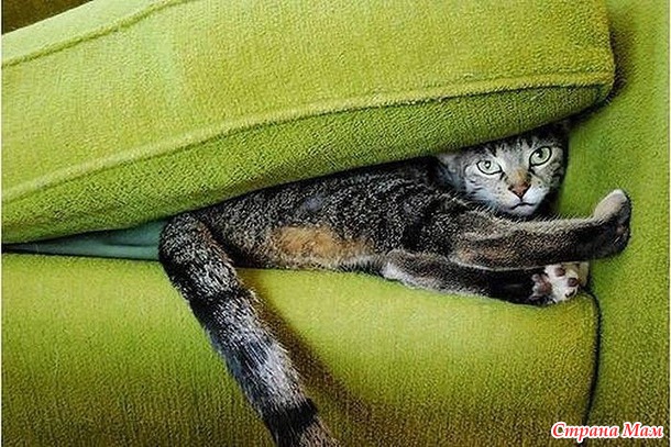 Если ты меня сразу не найдешь, я там в пакете сижу...