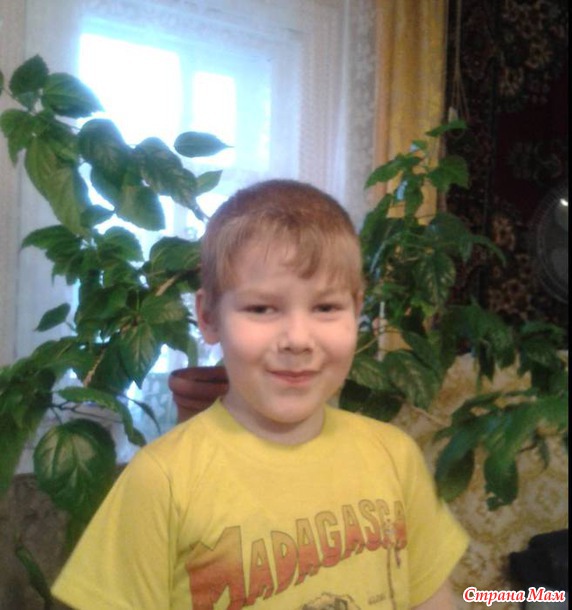 Новый год и лошади