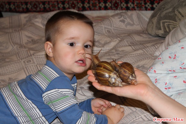 Детки веселятся