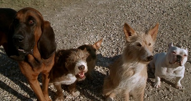   / Secondhand Lions (2003)
