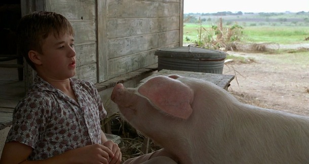   / Secondhand Lions (2003)