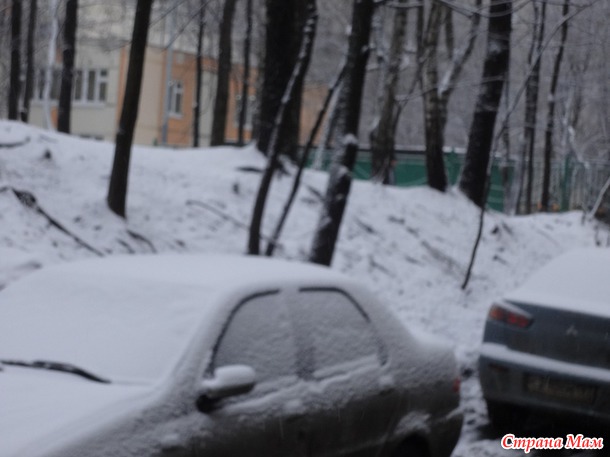 Зима Старый новый год