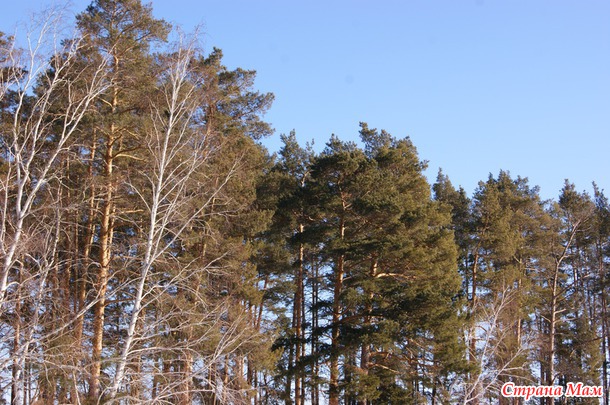 Из закромов. Год 2012. Болотовск