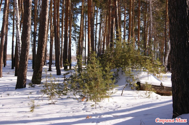 Из закромов. Год 2012. Болотовск