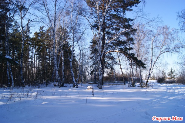 Из закромов. Год 2012. Болотовск