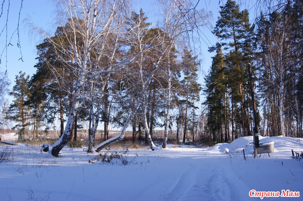 Из закромов. Год 2012. Болотовск