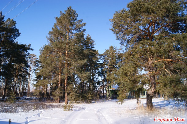 Из закромов. Год 2012. Болотовск
