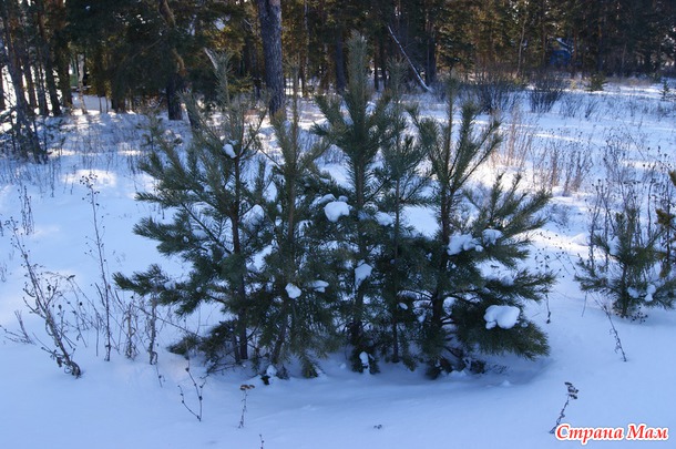 Из закромов. Год 2012. Болотовск