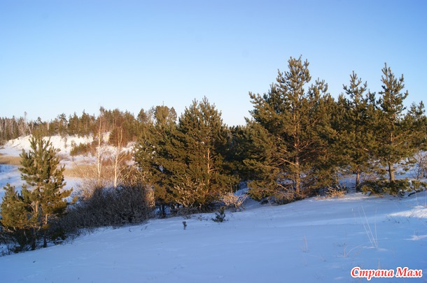 Из закромов. Год 2012. Болотовск