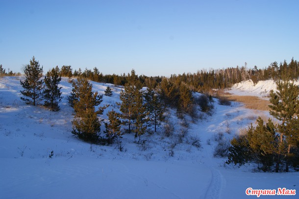 Из закромов. Год 2012. Болотовск