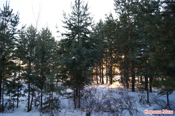 Из закромов. Год 2012. Болотовск