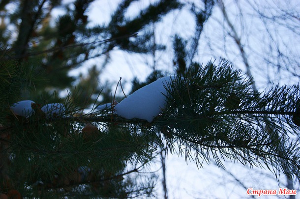 Из закромов. Год 2012. Болотовск