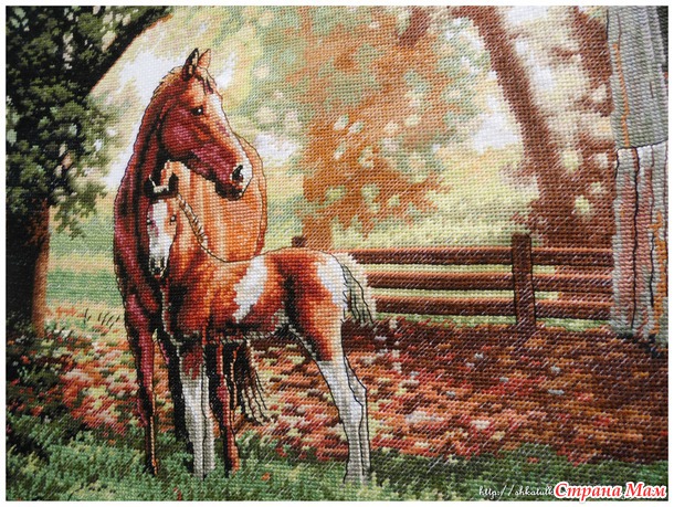Мои любимые лошадки