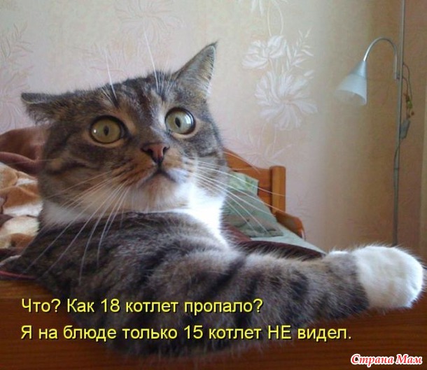 ПРОФЕССИОНАЛЬНО: выну душу, вымотаю нервы, вытащу мышей из подпола