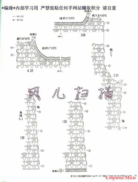     310842700_98703. .