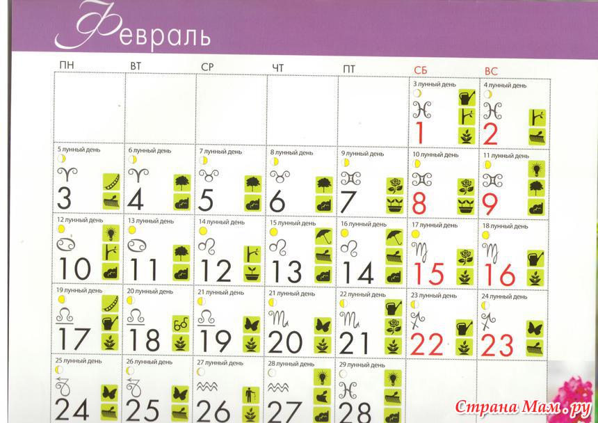 Лунный календарь на март 2024г новосибирск