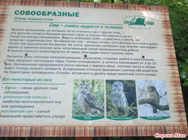 Экотропа... или как провели выходной! :)))