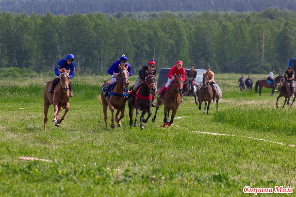 Конные скачки. Сабантуй 2014