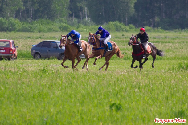 Конные скачки. Сабантуй 2014