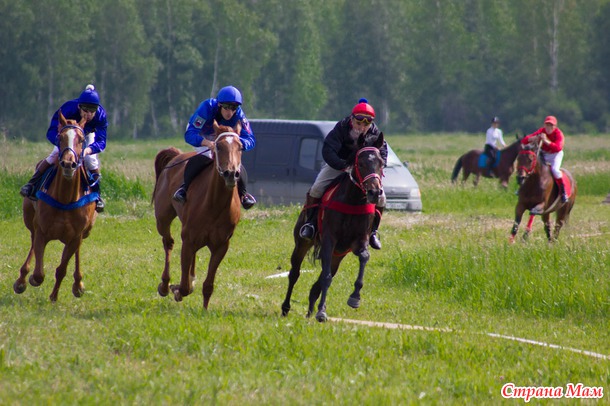 Конные скачки. Сабантуй 2014