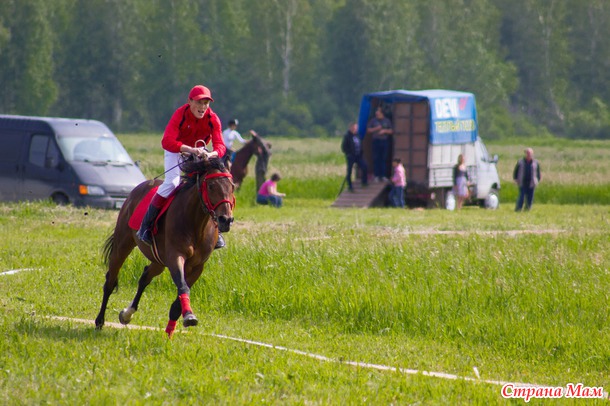 Конные скачки. Сабантуй 2014