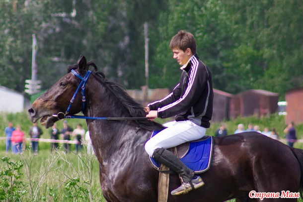 Конные скачки. Сабантуй 2014