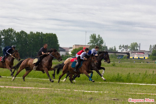 Конные скачки. Сабантуй 2014