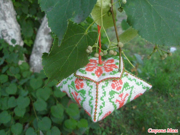 Тюльпан
