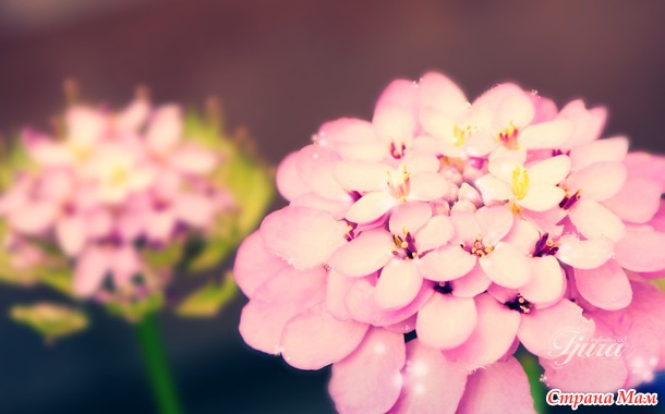 ����� ��� 1 ��� � 7 �������