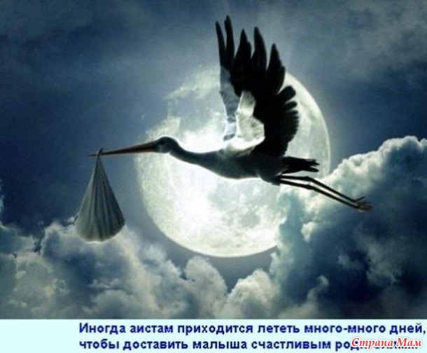 Замечательная новость!