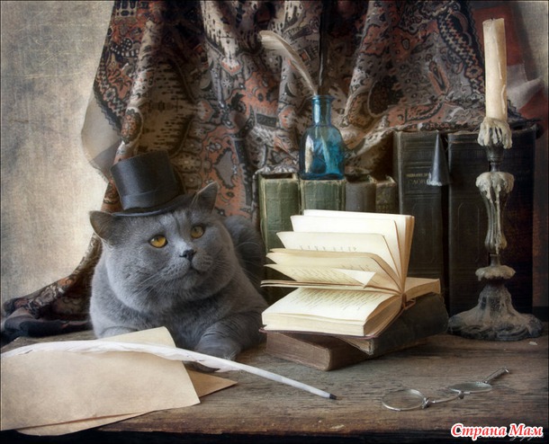Мяу-изящество. Любителям КотЭ )))