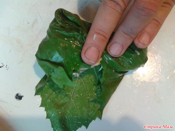 ������� �� ���������. ������� � ����������� �������. (��� timo4ka1208)