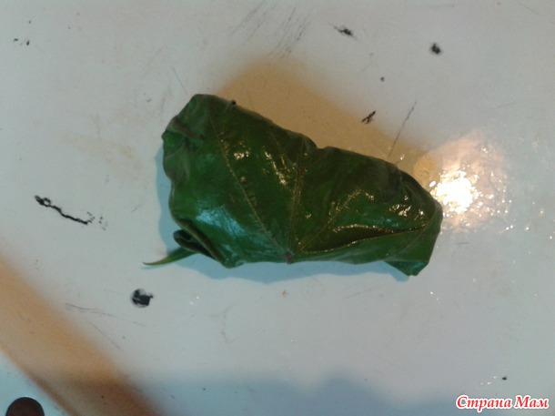 ������� �� ���������. ������� � ����������� �������. (��� timo4ka1208)