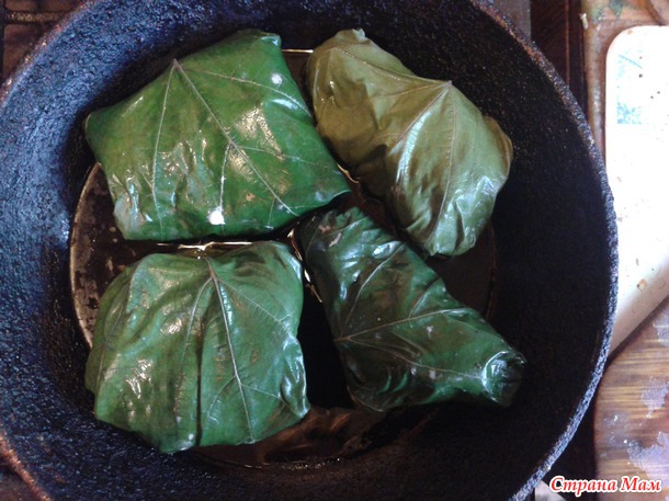 ������� �� ���������. ������� � ����������� �������. (��� timo4ka1208)