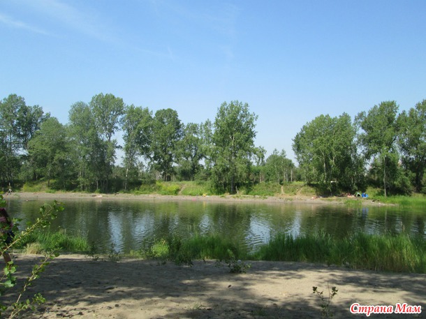 Жара, жара...
