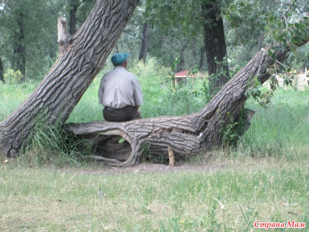 Жара, жара...