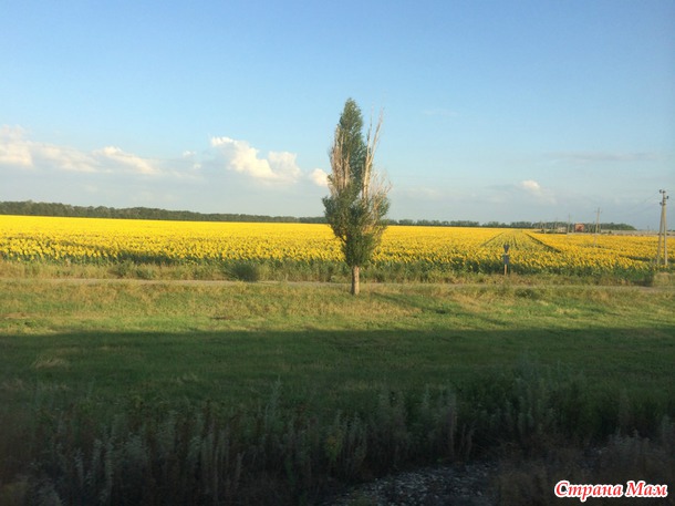 Фотоотчет об отдыхе в Абхазии. Часть 1. Многофото