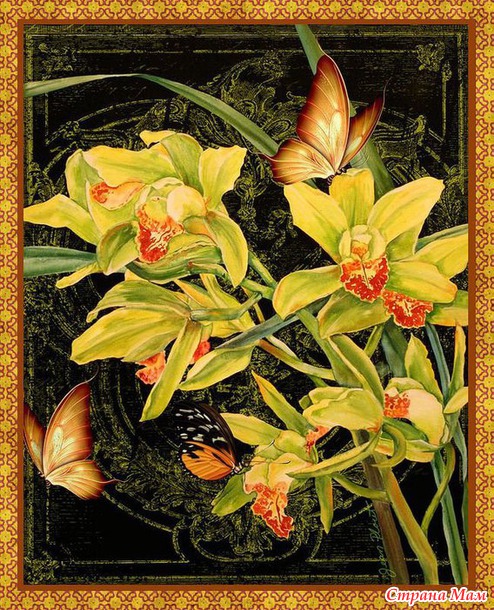  Jean Plout.      