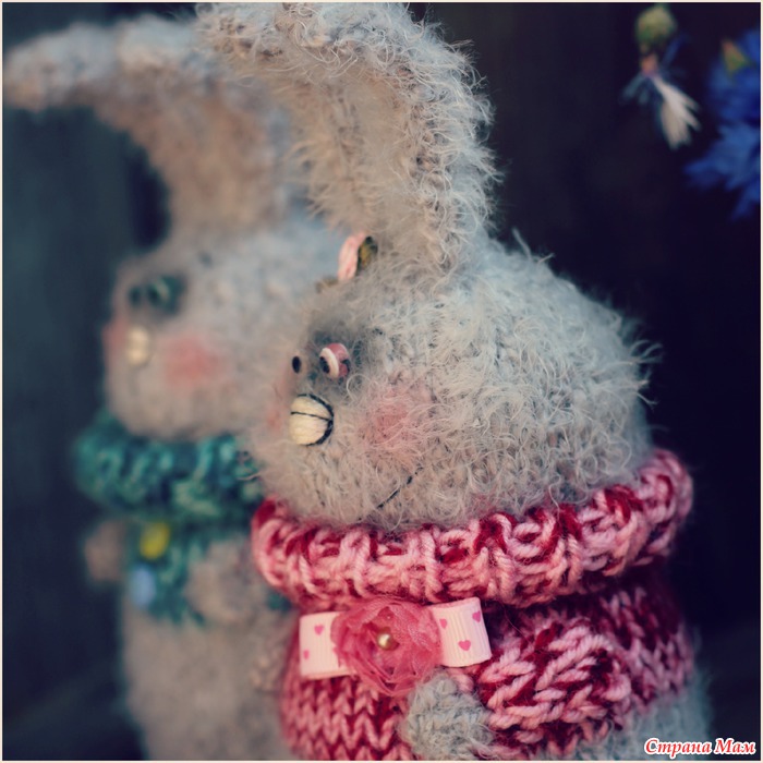 Заяц милый. Смешной заяц. Косой заяц. Тот еще заяц. Тот еще заяц.