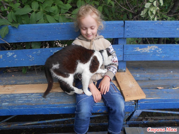 1-й урок верховой езды