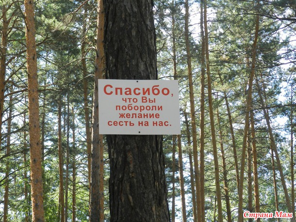 День Города!!!