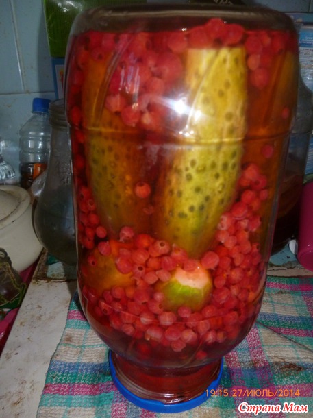 Огурцы с красной смородиной.