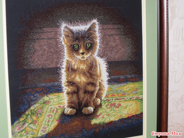 *"Светящийся" котенок от Dimensions
