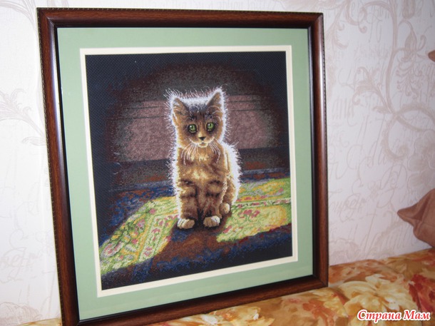 *"Светящийся" котенок от Dimensions