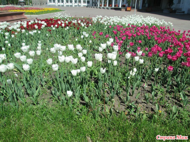 15 июня. Прогулка по городу