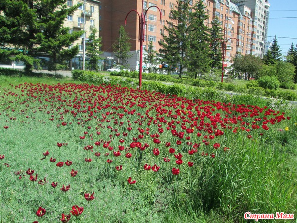15 июня. Прогулка по городу