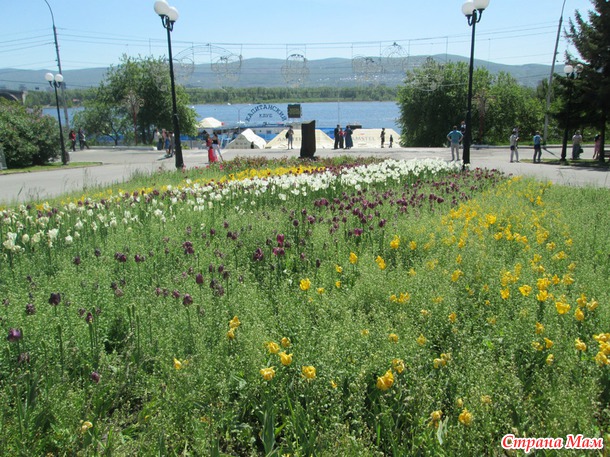 15 июня. Прогулка по городу