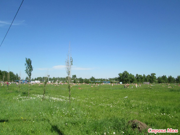 15 июня. Прогулка по городу